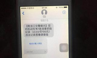 哈尔滨市交通违章几天才能查到 黑龙江省交通违章查询